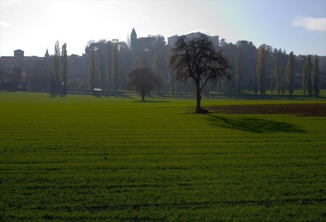 Galleria panoramica