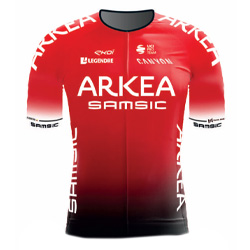 Maglia Squadra TEAM ARKEA - SAMSIC